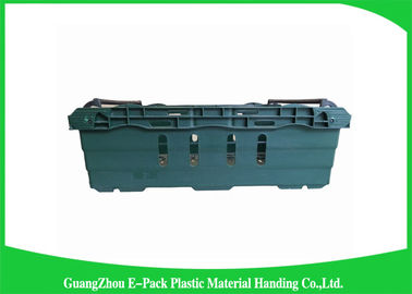 Médecine d'entreposage en caisses de Mesh Transport Green Plastic Food recyclable
