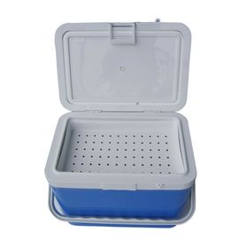 Boîte fraîche isolée fraîche à fruit de la résine 17L de catégorie comestible pour la résistance à la corrosion de vaccins