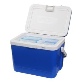 Boîte fraîche isolée fraîche à fruit de la résine 17L de catégorie comestible pour la résistance à la corrosion de vaccins
