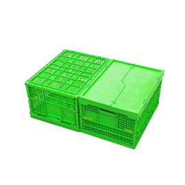 Caisse se pliante en plastique verte adaptée aux besoins du client Mesh Body de pp + le fond solide