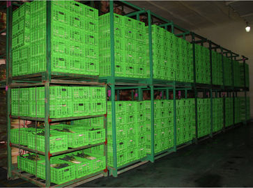 Stockage pliant en plastique agricole 600*400 adapté aux besoins du client par caisse millimètre