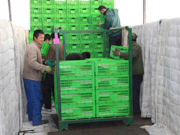 Stockage pliant en plastique agricole 600*400 adapté aux besoins du client par caisse millimètre