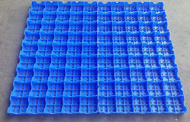 Mesh Floor Plastic Export Pallets reliant la capacité de chargement élevée de nettoyage facile