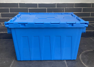 Personnalisation articulant les conteneurs attachés en plastique de couvercle 560*380*330mm