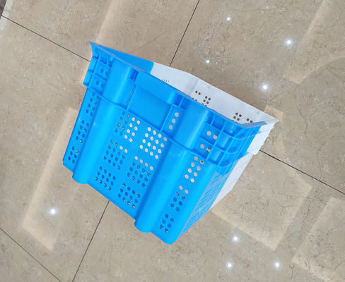 Double couleur embarquant les caisses en plastique empilables pour des fruits et légumes