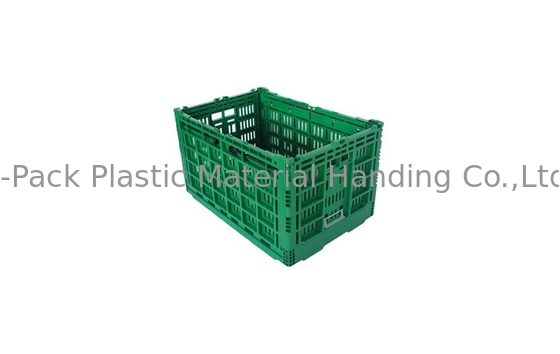 Grande caisse en plastique pliante verte faite sur commande pour le matériel végétal de la Vierge pp de fruit
