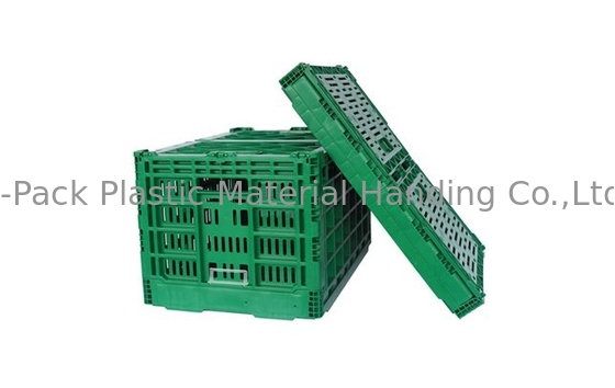 3.4kg caisses 100% en plastique résistantes de fruits et légumes de la Vierge pp
