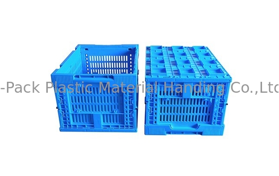 Caisses en plastique 400*300mm bleues de petite taille de fruits et légumes