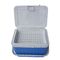 Food Grade Resin 17L Fruit Fresh Insulated Cool Box For Vaccines Corrosion Resistance
